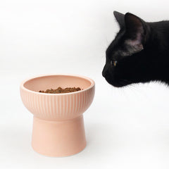 JoyCat Ceramic Pet Bowl for Cats and Dogs - Peekabowl