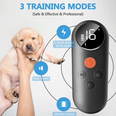 Colour Screen Smart Dog Bark Stopper & Trainer