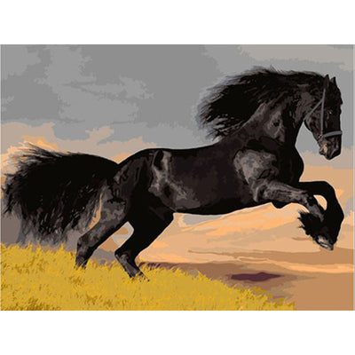 Black Horse Oil Painting Decorative Artwork