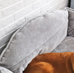 Premium Sofa Dog Bed