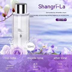 Car Aromatherapy Spray Ambience Light