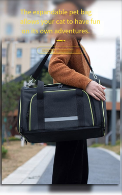 Folding One-Shoulder Pet Carrier