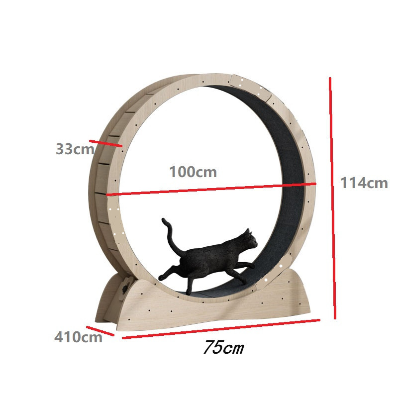 Silent Cat Fitness Wheel | Premium Exercise Roller