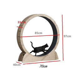 Silent Cat Fitness Wheel | Premium Exercise Roller