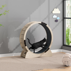Silent Cat Fitness Wheel | Premium Exercise Roller