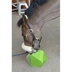 Fun Polygon Safe Plastic Horse Toy Ball