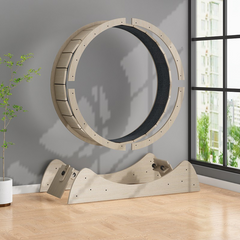 Silent Cat Fitness Wheel | Premium Exercise Roller