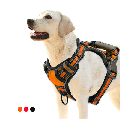 Breathable No-Pull Dog Harness Vest