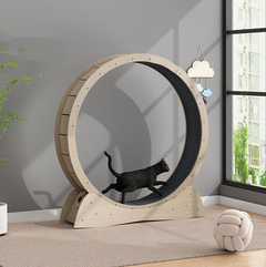 Silent Cat Fitness Wheel | Premium Exercise Roller