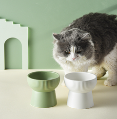 JoyCat Ceramic Pet Bowl for Cats and Dogs - Peekabowl