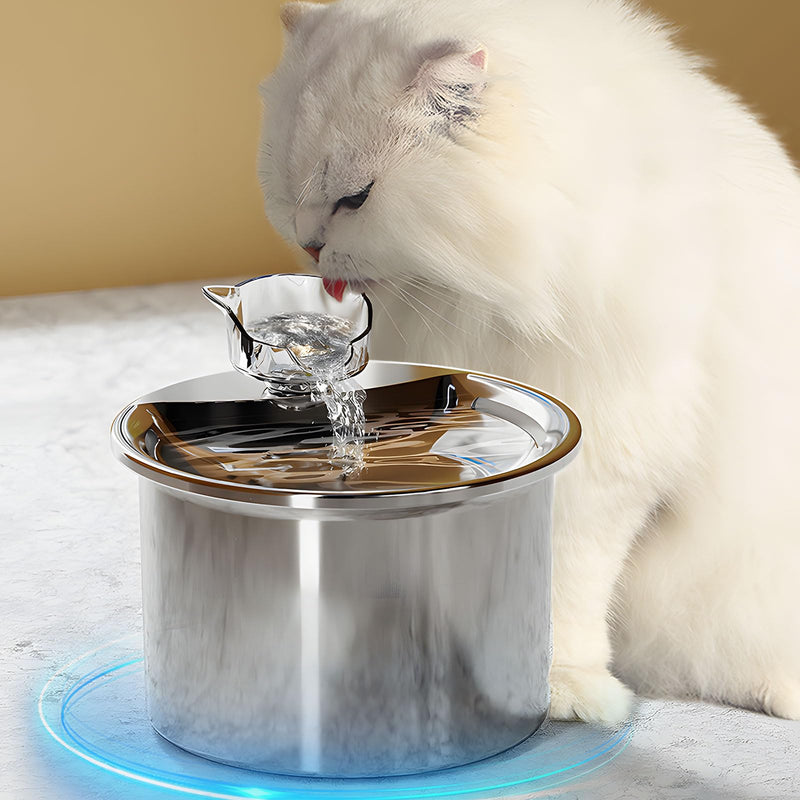 Ultra-Quiet Multi-Stage Filtration Pet Fountain | Stainless Steel
