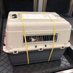 Airline-Approved Hard Pet Travel Crate