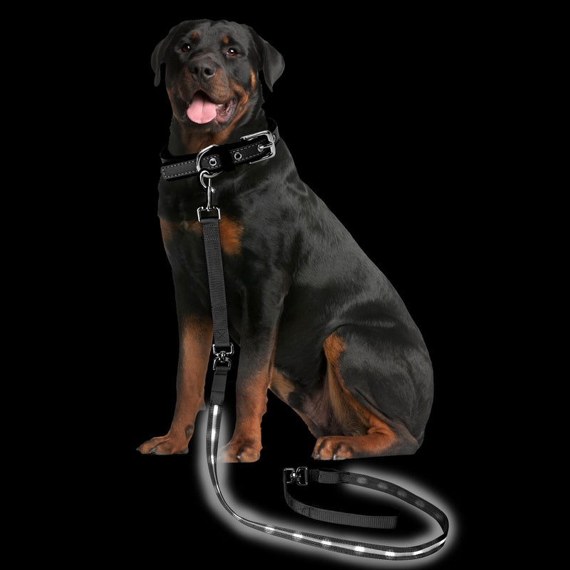 PetIsay Light up Dog Leash for Night Walking - USB C Rechargeable - Waterproof - Dog Leash with Flashlight - LED Leash for Dogs - 6Ft White