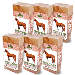 Himalayan Nature Licking Salt for Horse - 6 Pack Pink