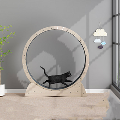 Silent Cat Fitness Wheel | Premium Exercise Roller