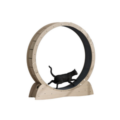 Silent Cat Fitness Wheel | Premium Exercise Roller
