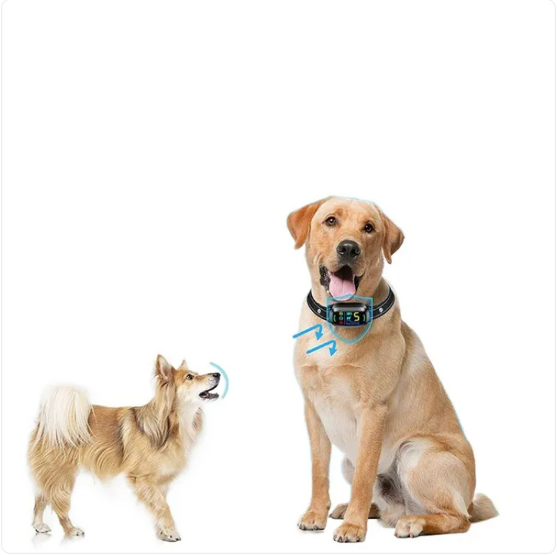Humane Automatic Anti-Bark Dog Collar
