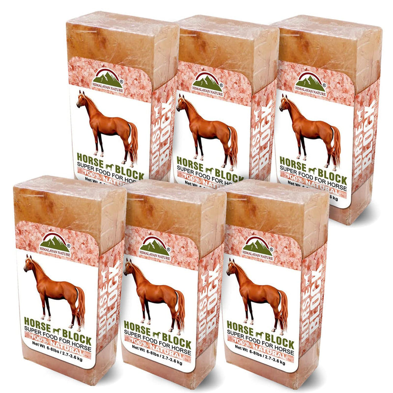 Himalayan Nature Licking Salt for Horse - 6 Pack Pink