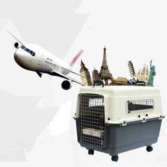 Airline-Approved Hard Pet Travel Crate