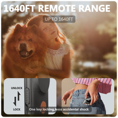 Colour Screen Smart Dog Bark Stopper & Trainer