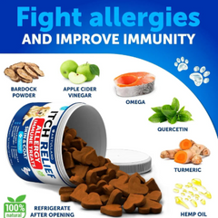 Probiotic Chews for Dogs — Gut, Skin & Immune Support (180 Count)