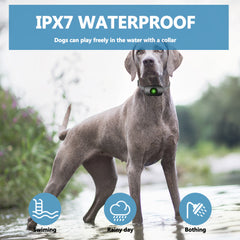Colour Screen Smart Dog Bark Stopper & Trainer