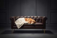 Moots Premium Leatherette Pets Sofa Espresso Medium/Large