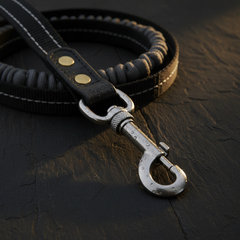 Hands-Free Leash Detail